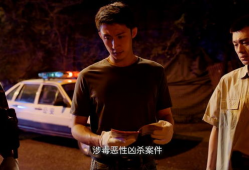 最新刑侦电视剧,刑侦剧中的智慧较量与真相追寻